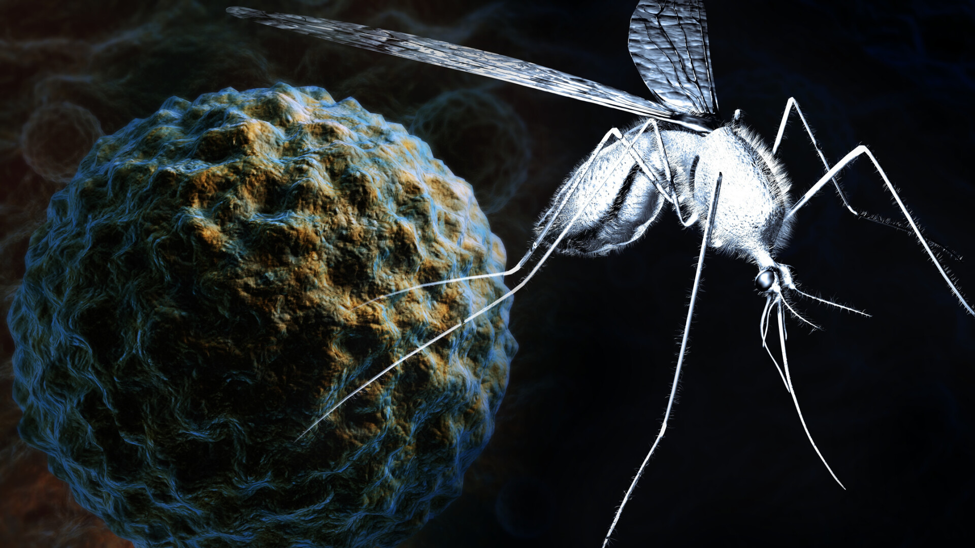 virus