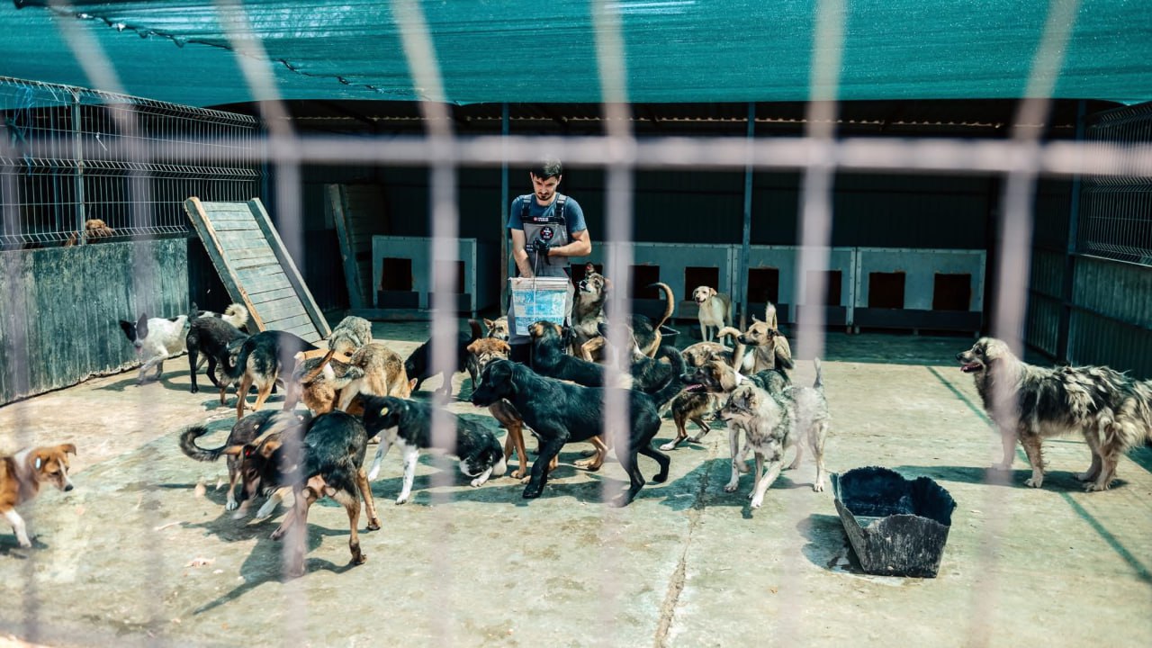 577227224_1254031216761922_5305980608382998989_n