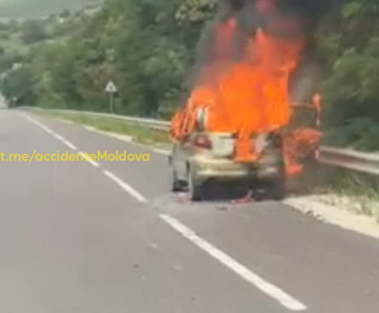 foc