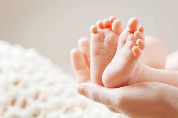 istockphoto-646703512-612x612