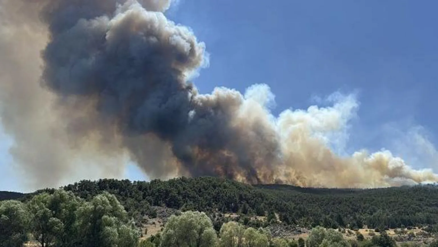 turcia morti in incendii