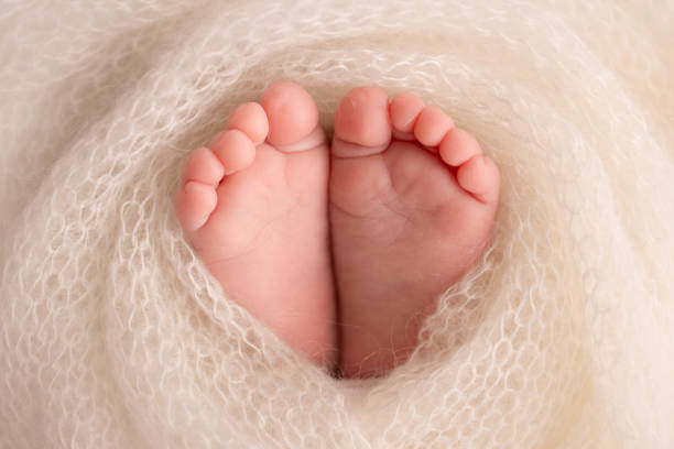 istockphoto-1441426800-612x612