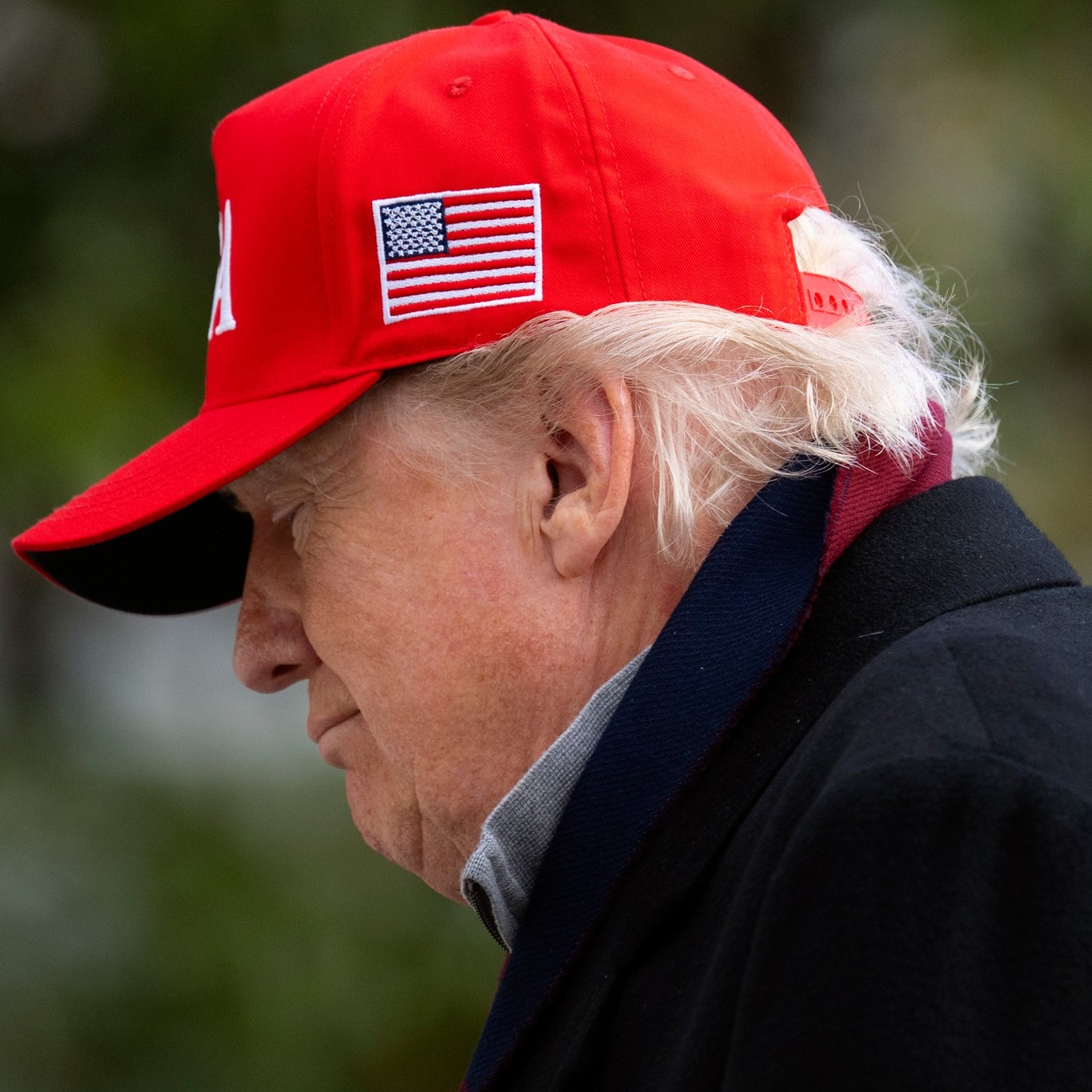 592882838_1429798528511940_5448190230724746237_n