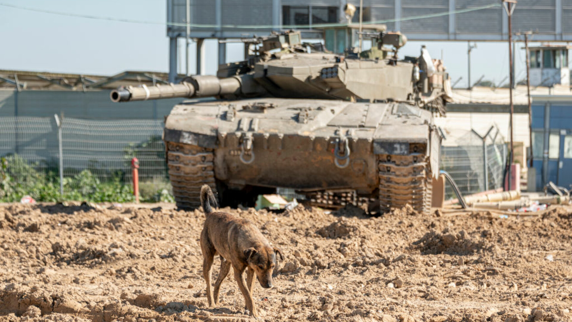 hamas