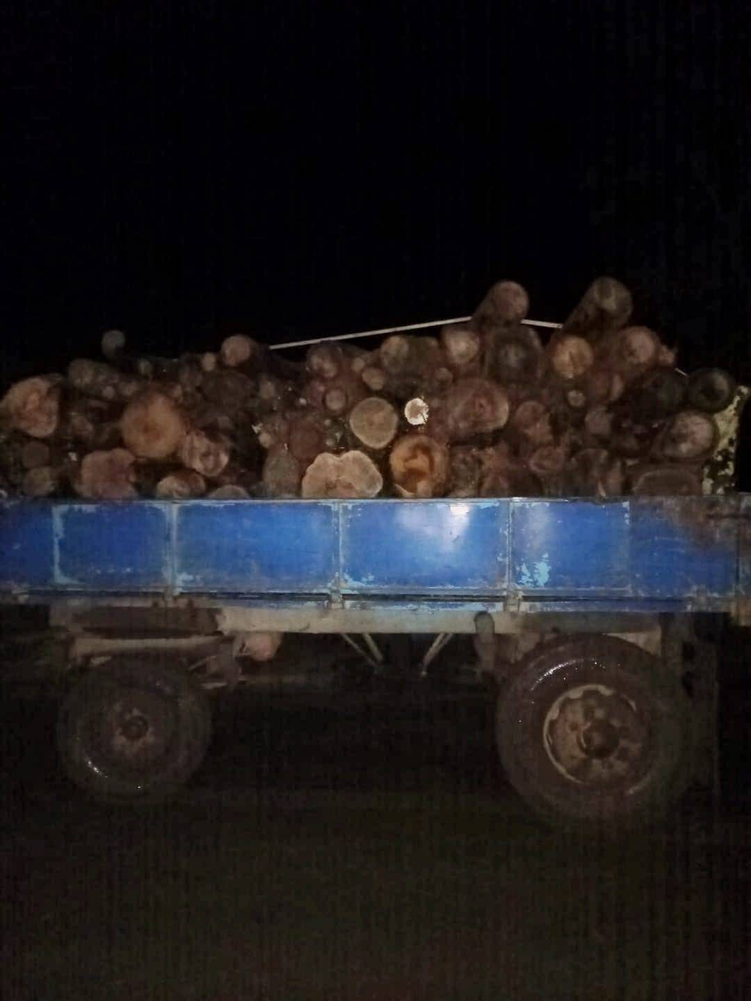 WhatsApp Image 2025-11-21 at 18.03.26