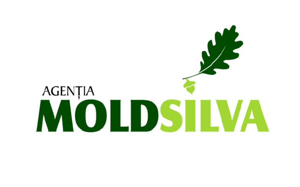 moldsilva