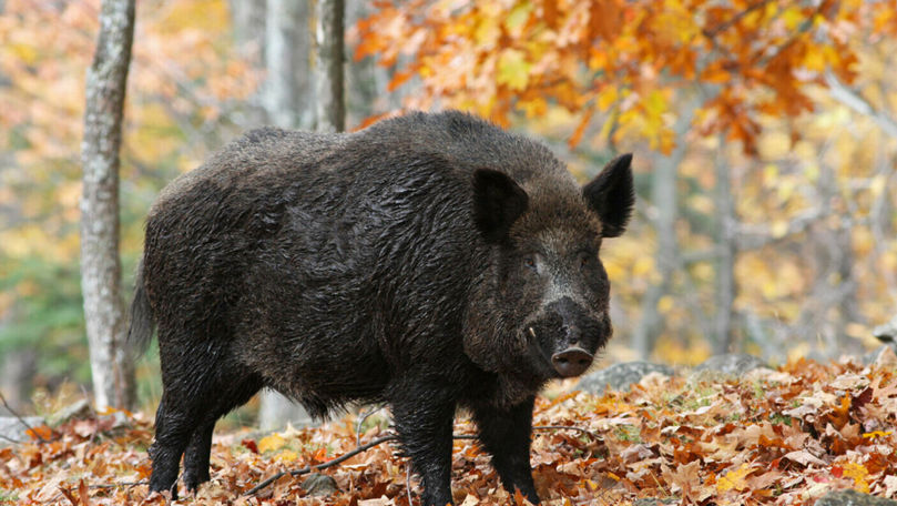 5a91eb162c60aed5b123b459b47f57f0