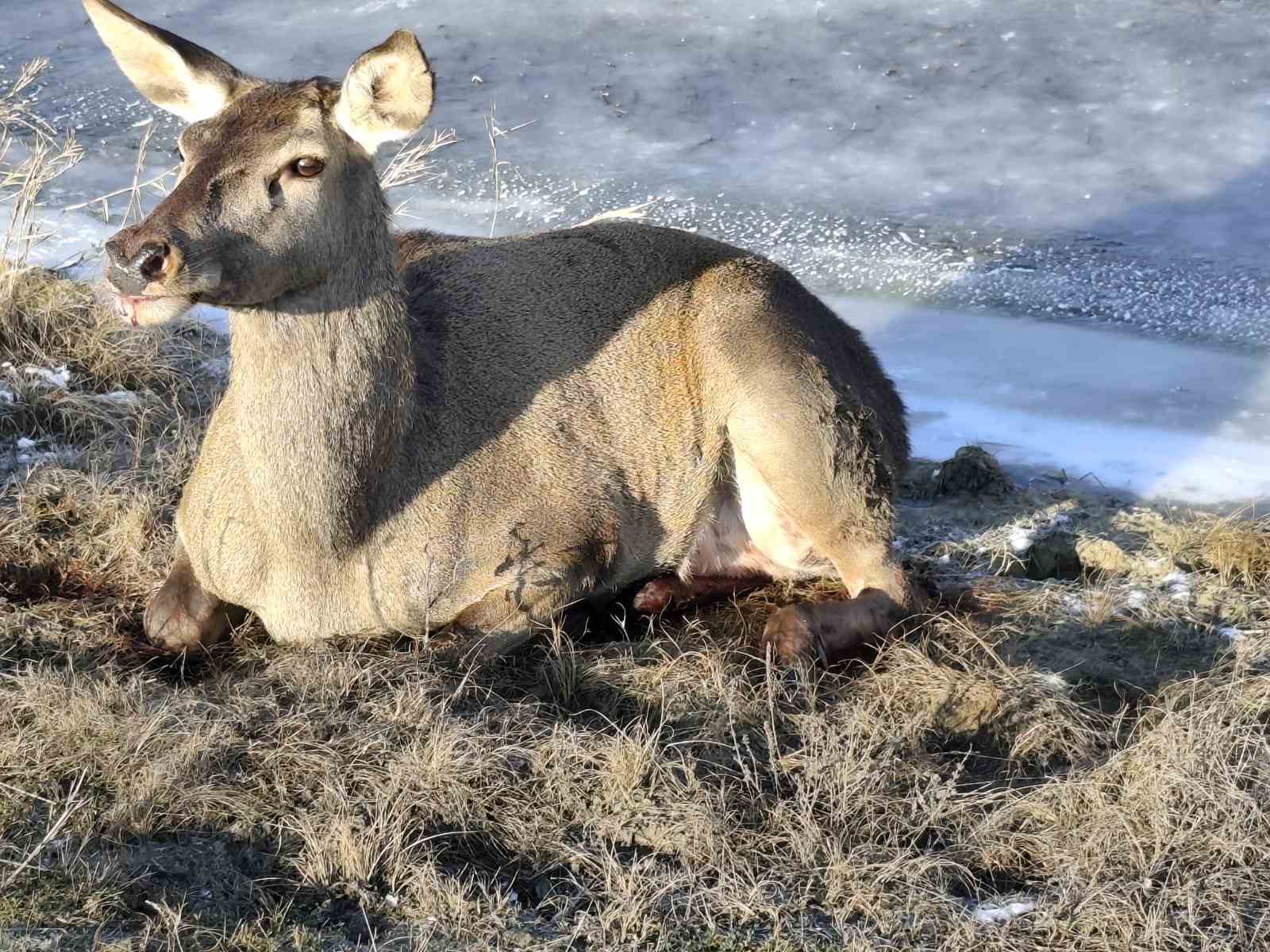 616806876_1183941787243826_917588905675076623_n