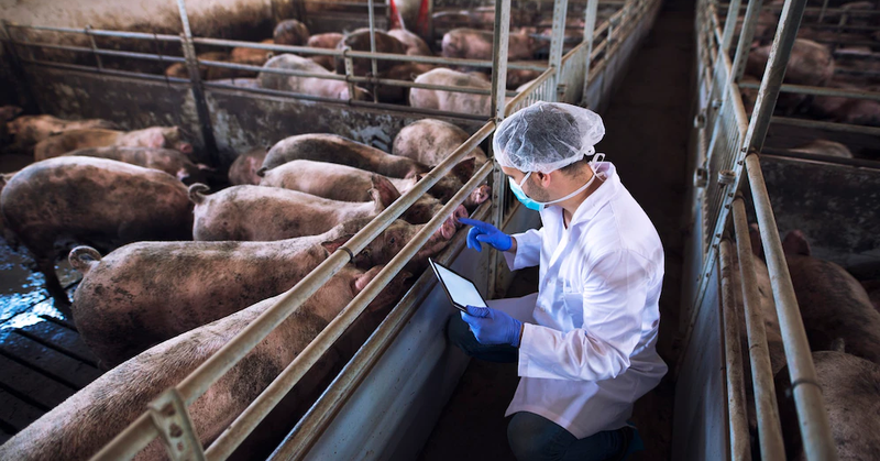 2cab541327fcd43e7f7a9fde85bbffb998e13078e122057152c2f9494bf81418