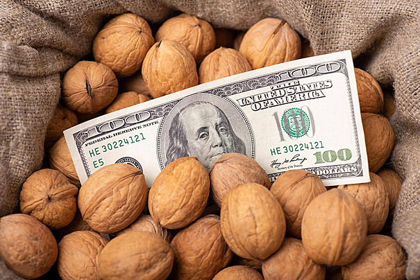 pngtree-dollar-bill-on-sack-of-walnuts-raw-dollar-natural-photo-image_49126410