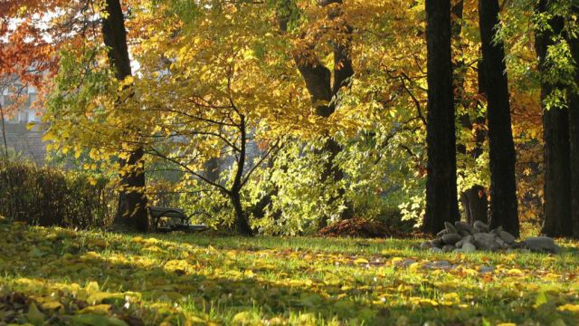 vreme 11 septembrie