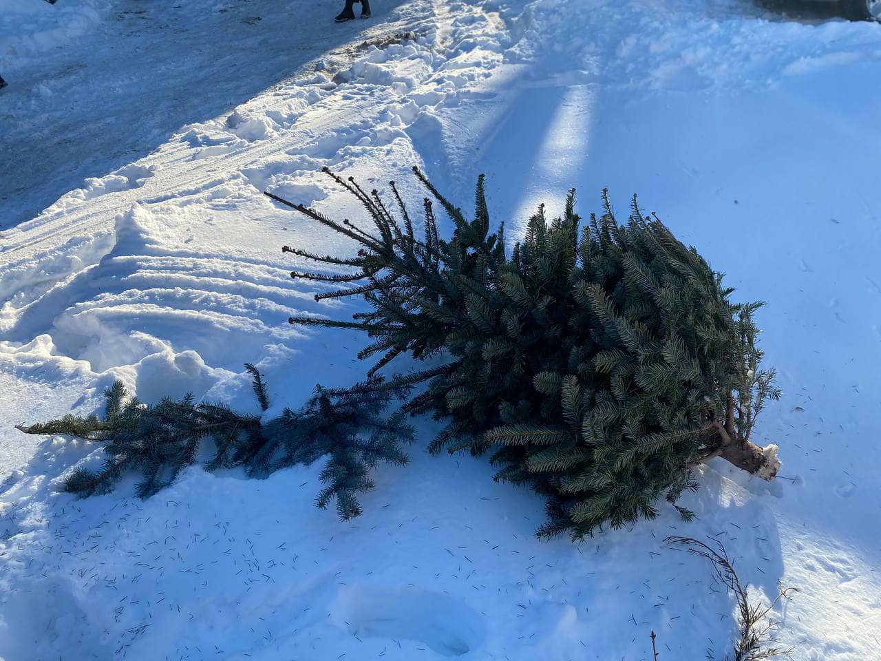 615586689_1322774953229265_7560441221731943425_n