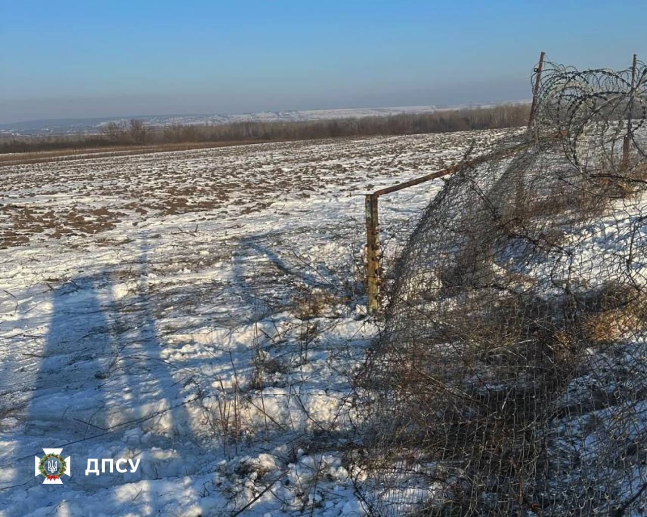 IMAGE 2026-01-11 16:26:33