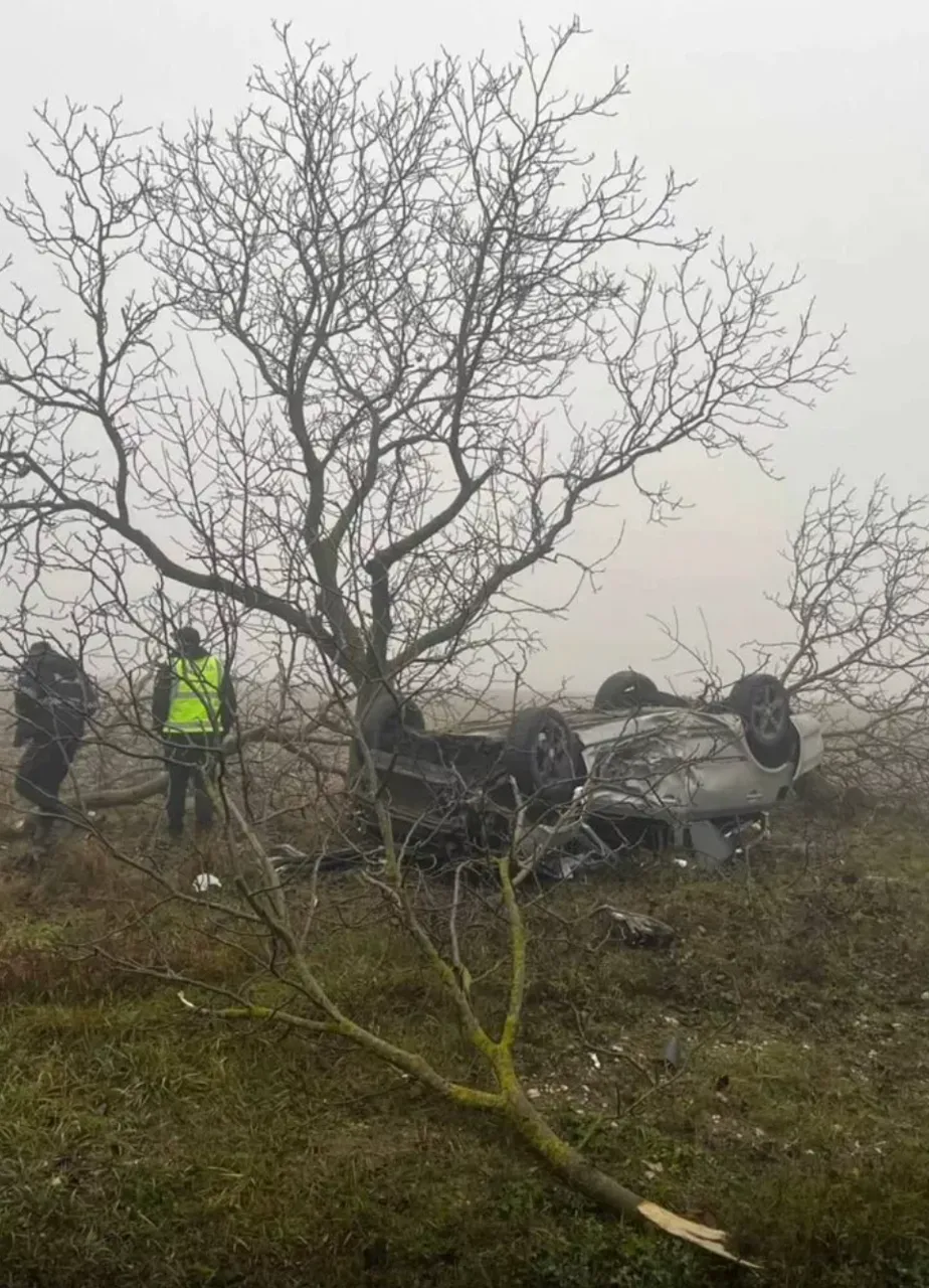 6c3e8c3a5d24433221526ea1168015b7