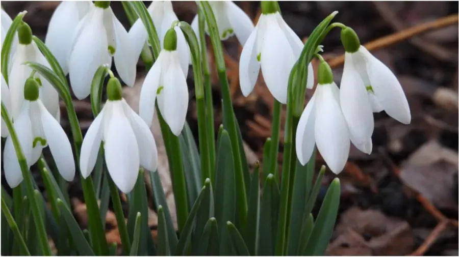 photo_2026-03-11_08-07-32