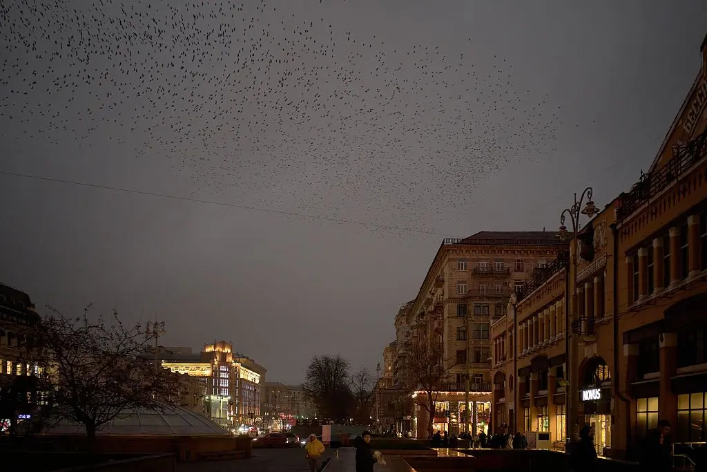 GettyImages-2252432419