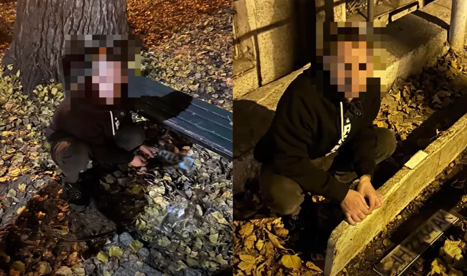 Captură de ecran 2025-11-10 133439