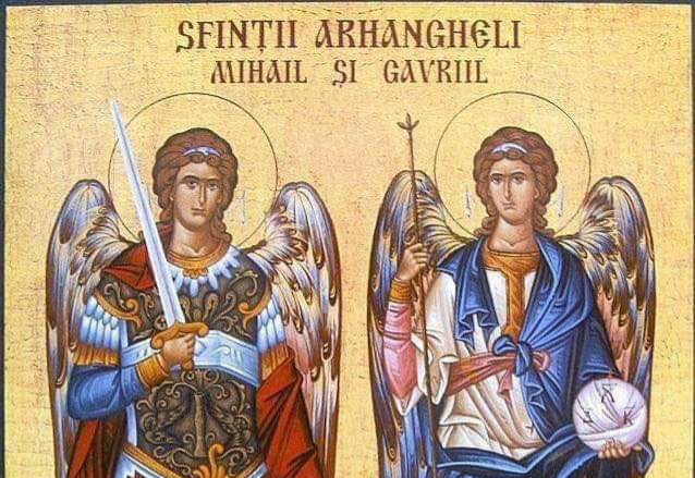 FB_IMG_1732167043271-1