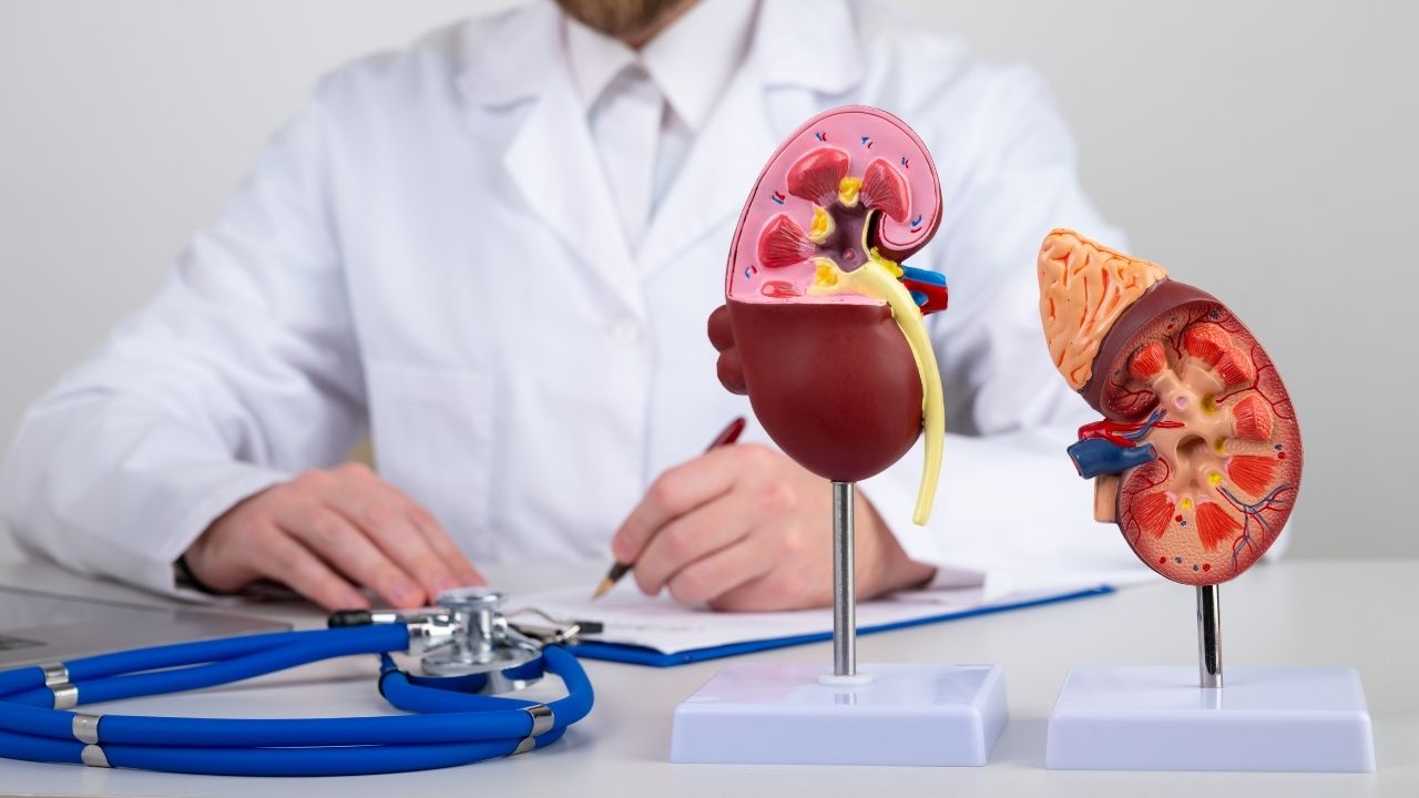 turkey-kidney-transplantation