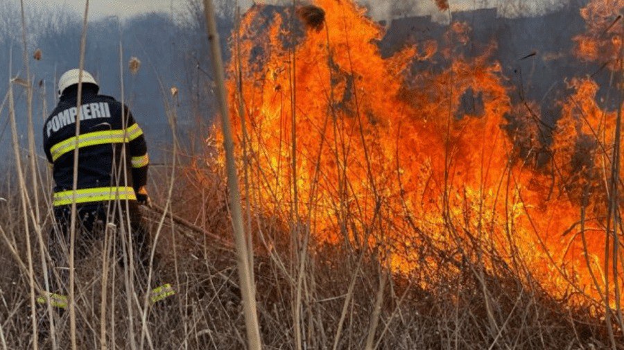 incendiu_vegetație