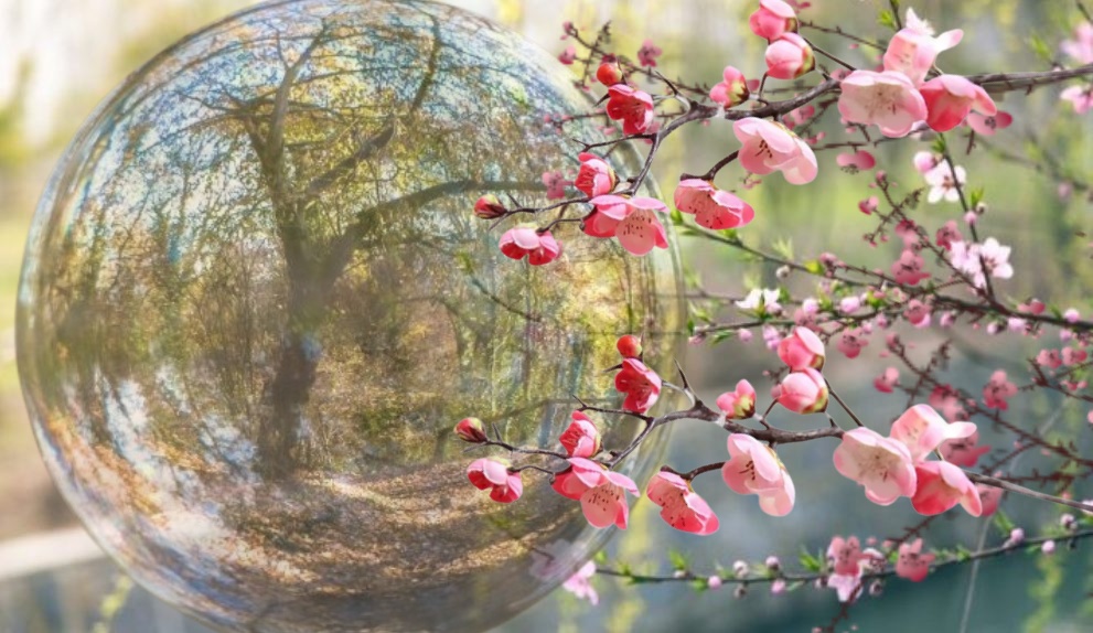 echinoctiul-de-primavara