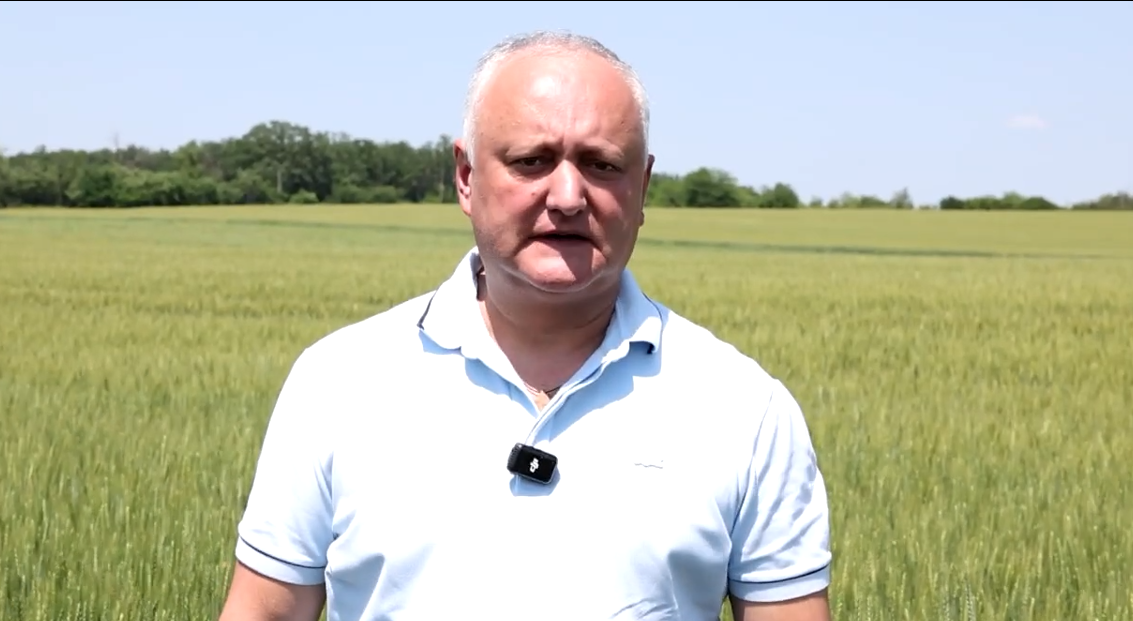 dodon