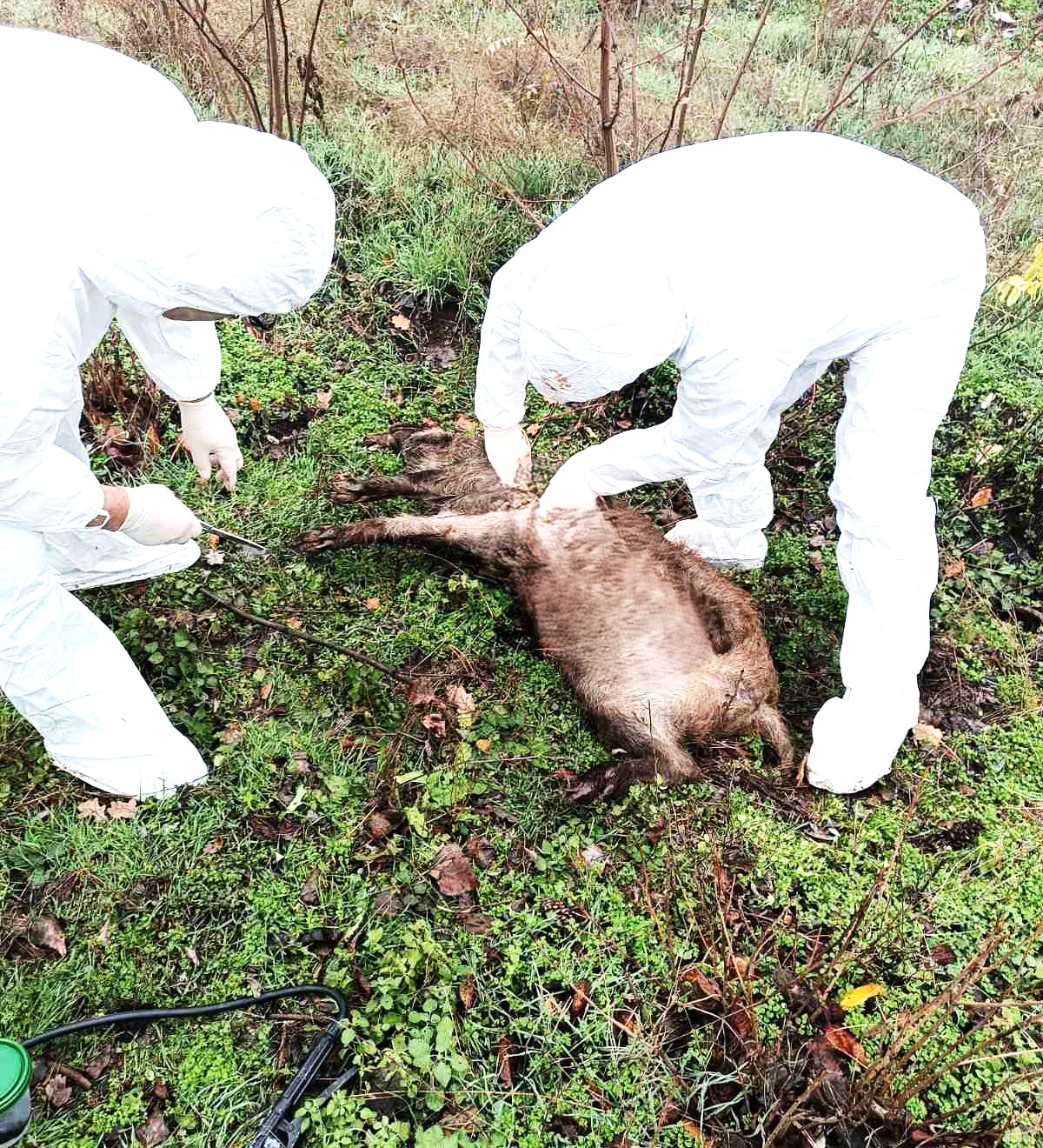 594386042_1150478463927522_8311942235053251908_n