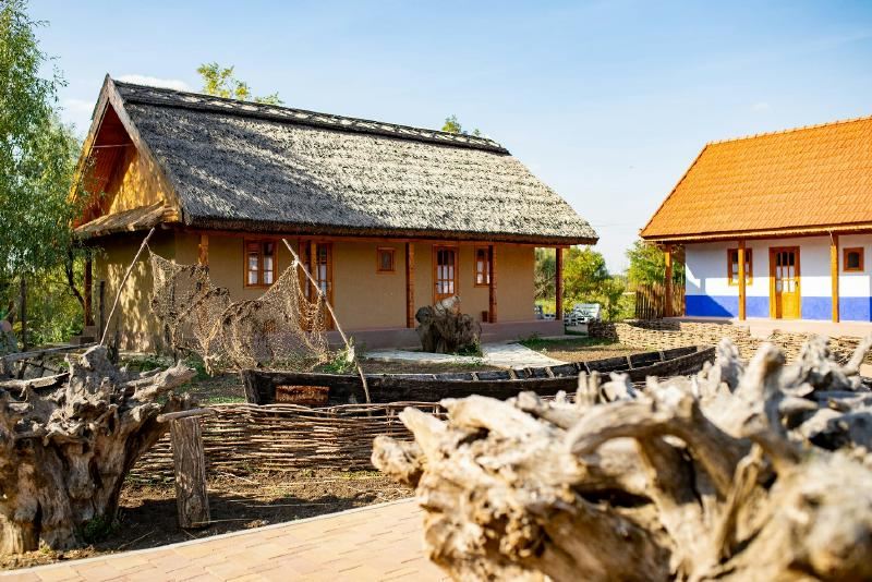 a78154dac98b058a_800x800ar