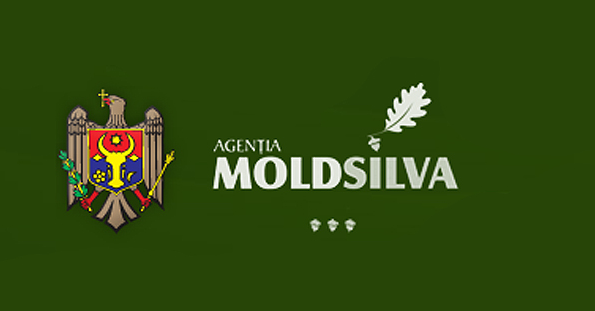 moldsilva