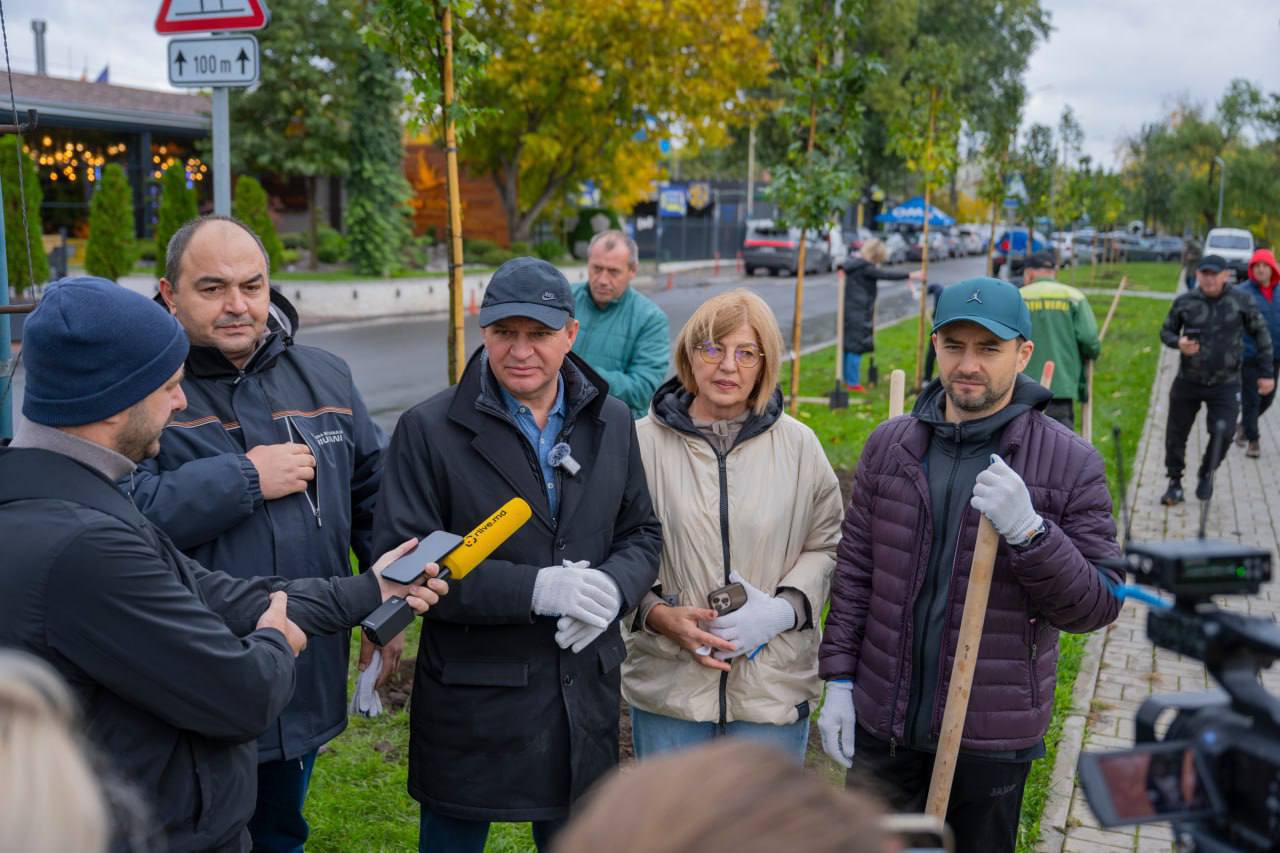 plantare4