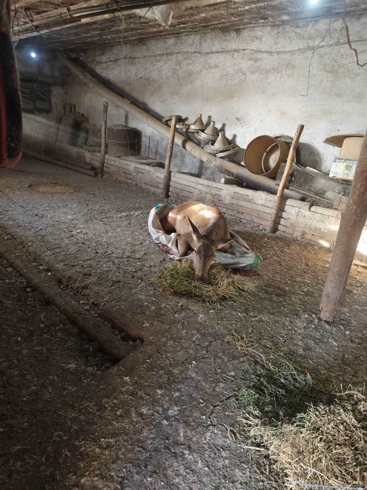 616608306_1183941920577146_6287415028240938605_n