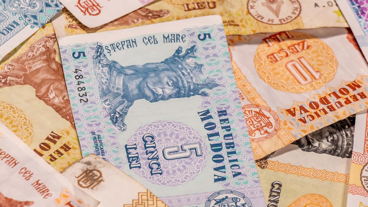 84b01d0e-a5b4-4680-9d20-8418681d34b6