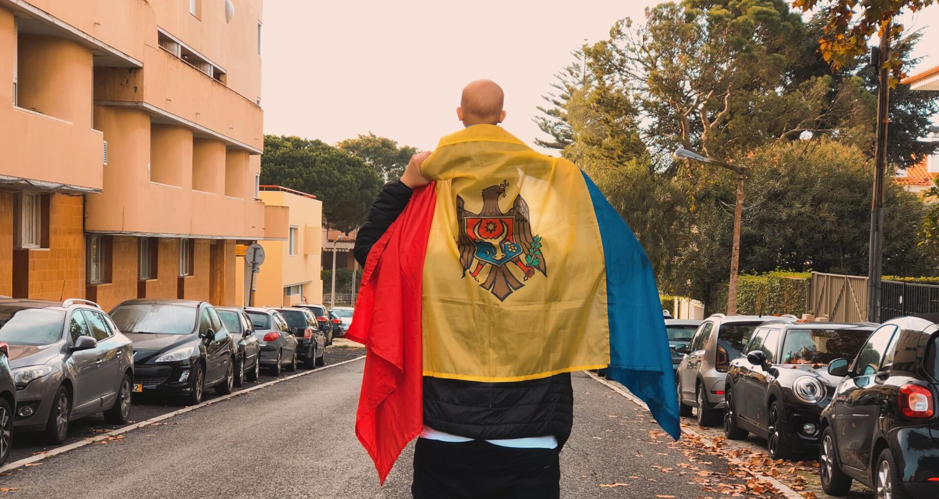 diaspora-voteaza