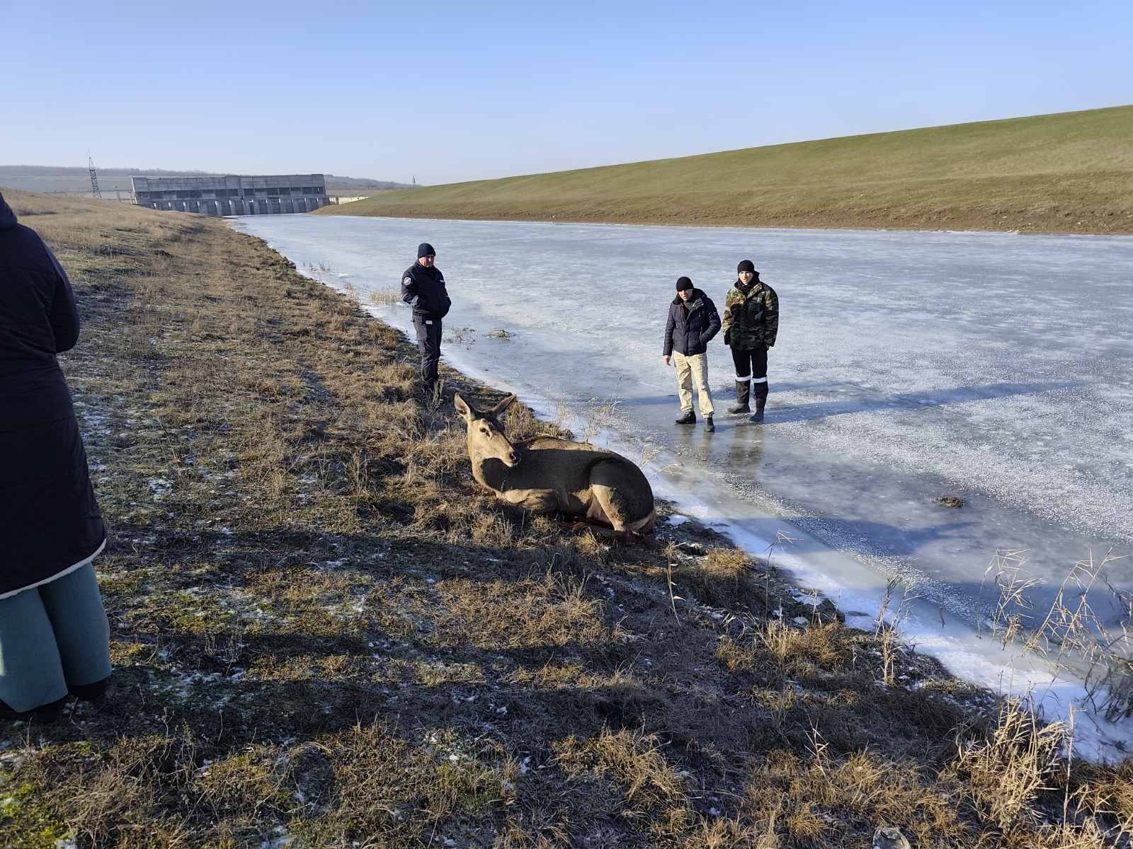 617076124_1183941823910489_9019840109369876878_n