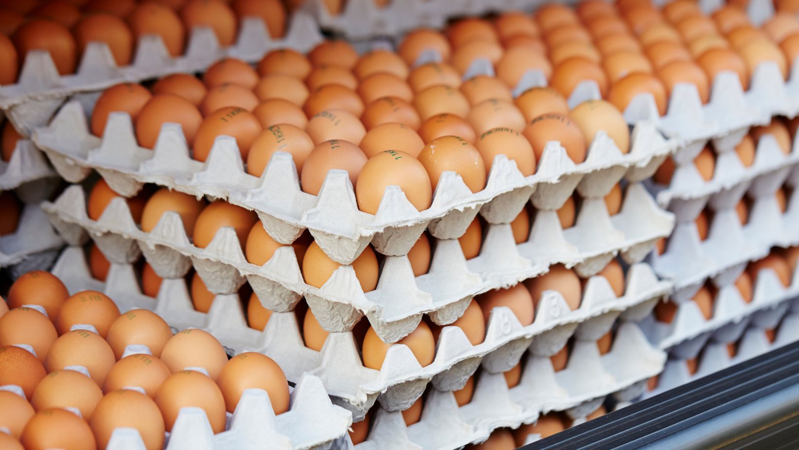 Foto-pentru--tiri--13--1