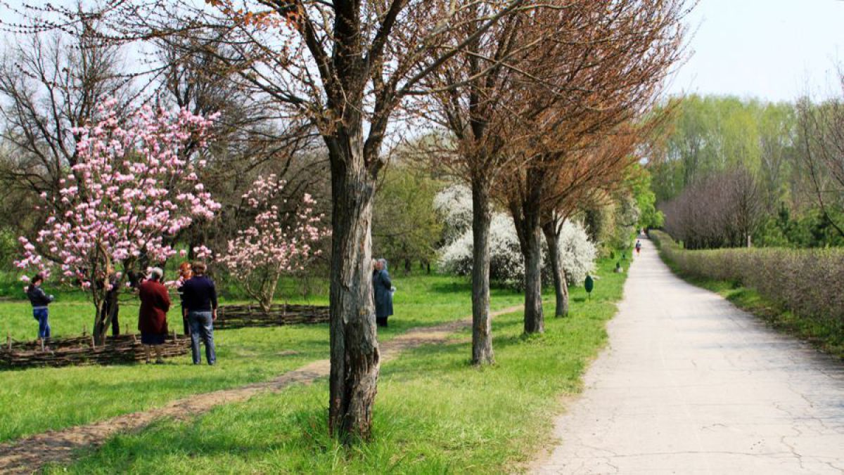 la-chisinau-incepe-curatenia-de-primavara-28952