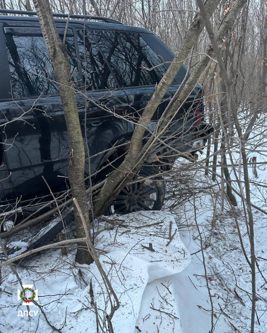 IMAGE 2026-01-11 16:26:23