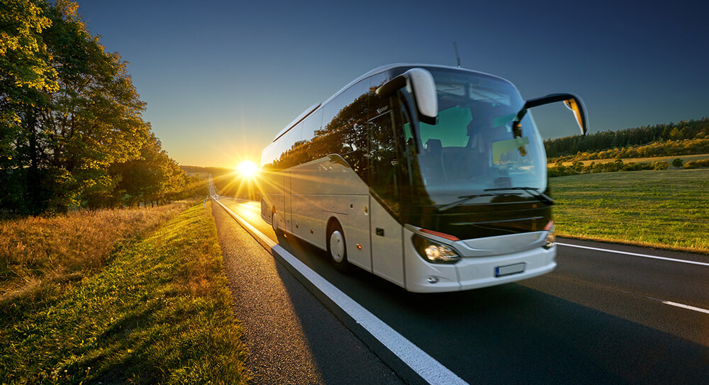 Conducator-auto-transport-persoane-in-trafic-national-international-tumb