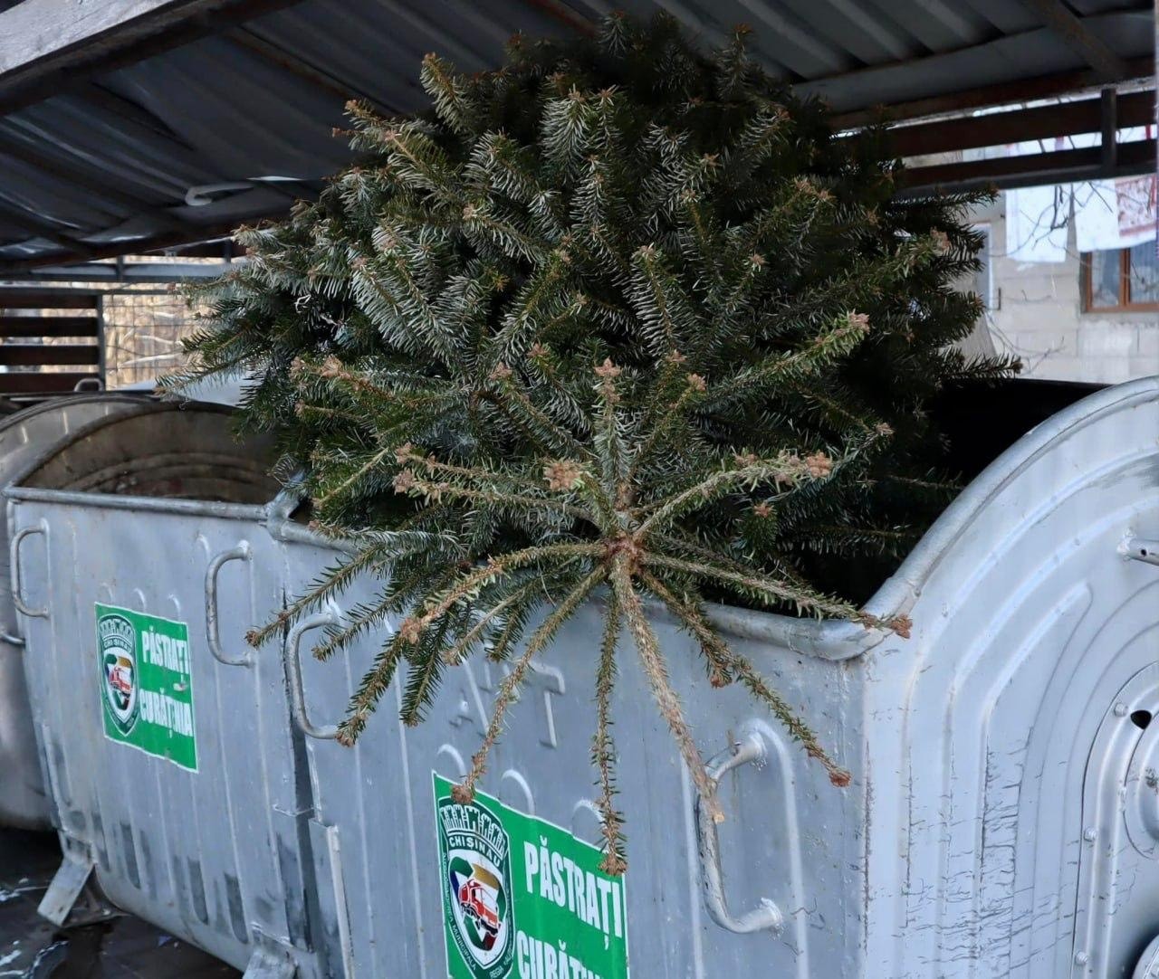 608044871_1299976845500692_8303059002734755504_n