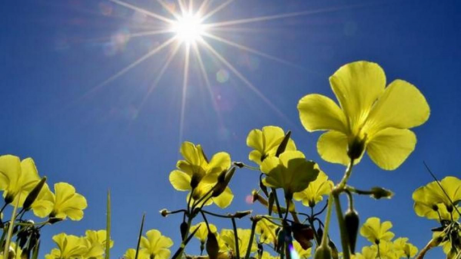 prognoza-meteo-pentru-9-10-11-si-12-iunie-cer-senin-18718730-1684735240f886399