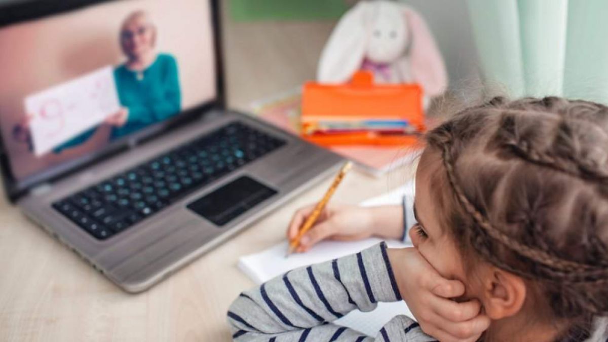 ministerul-educatiei-in-unele-scoli-copii-s-ar-putea-confrunta-cu-lipsa-tehnicii-pentru-conectarea-la-lectiile-online-177861-1643823323