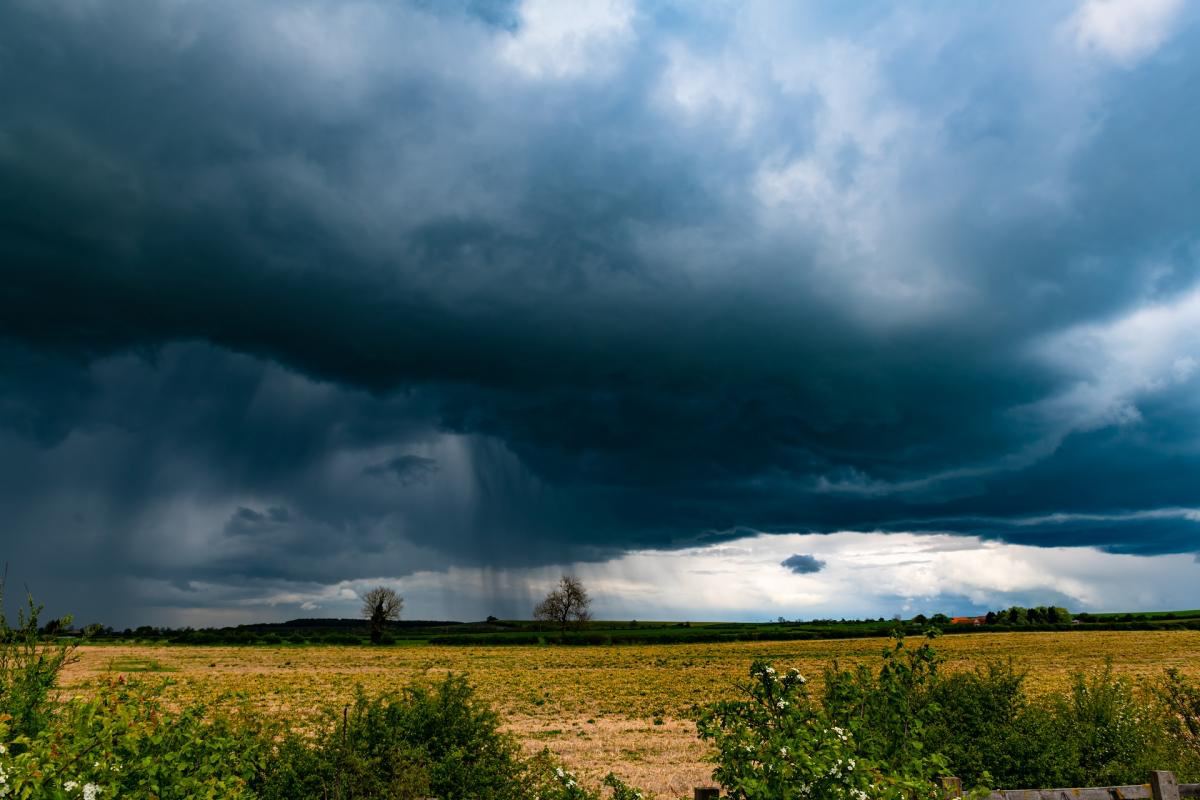 meteo