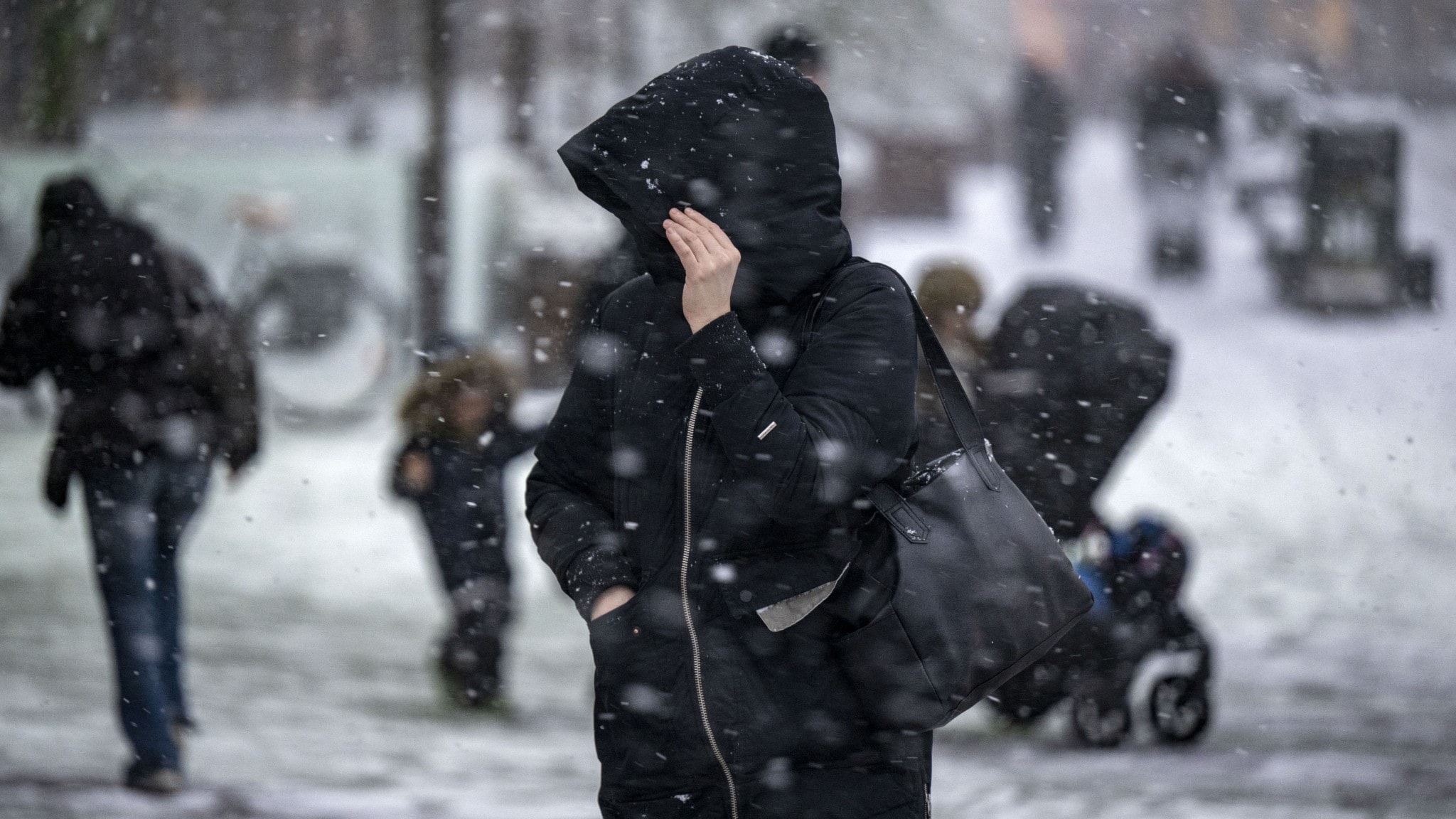 445453cf-5d1b-47c7-bb37-8f36ba4e6eb8