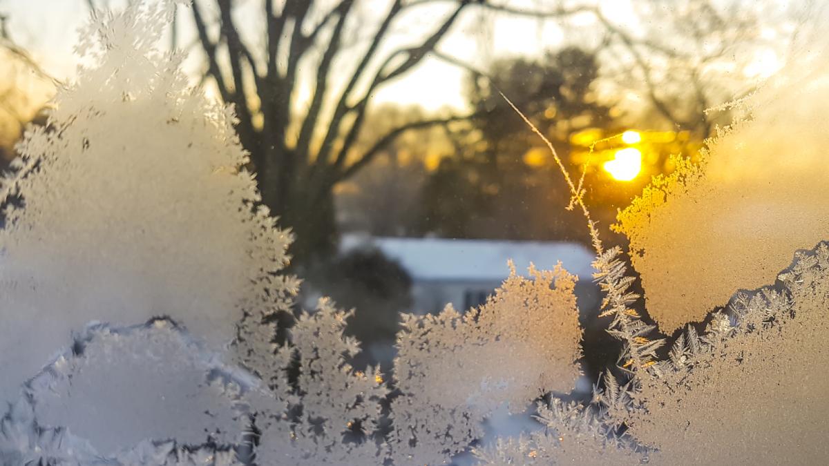 de-la-ger-la-temperaturi-de-primavara-anm-a-anuntat-de-cand-se-incalzeste-vremea-prognoza-meteo-pentru-urmatoarele-4-saptamani-953504