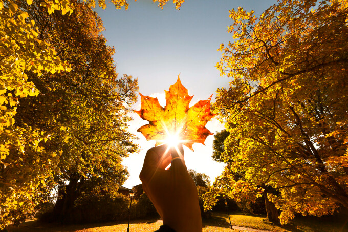 meteo 20 septembrie