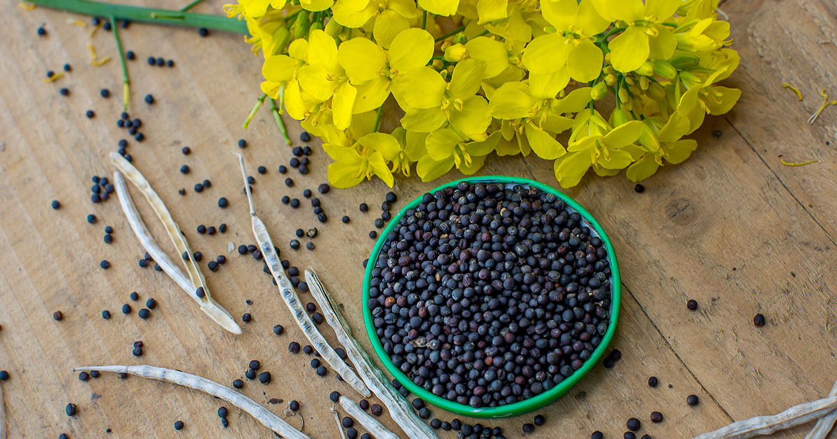 5fa02d024b6c9e5bcb28611ef36d41f1