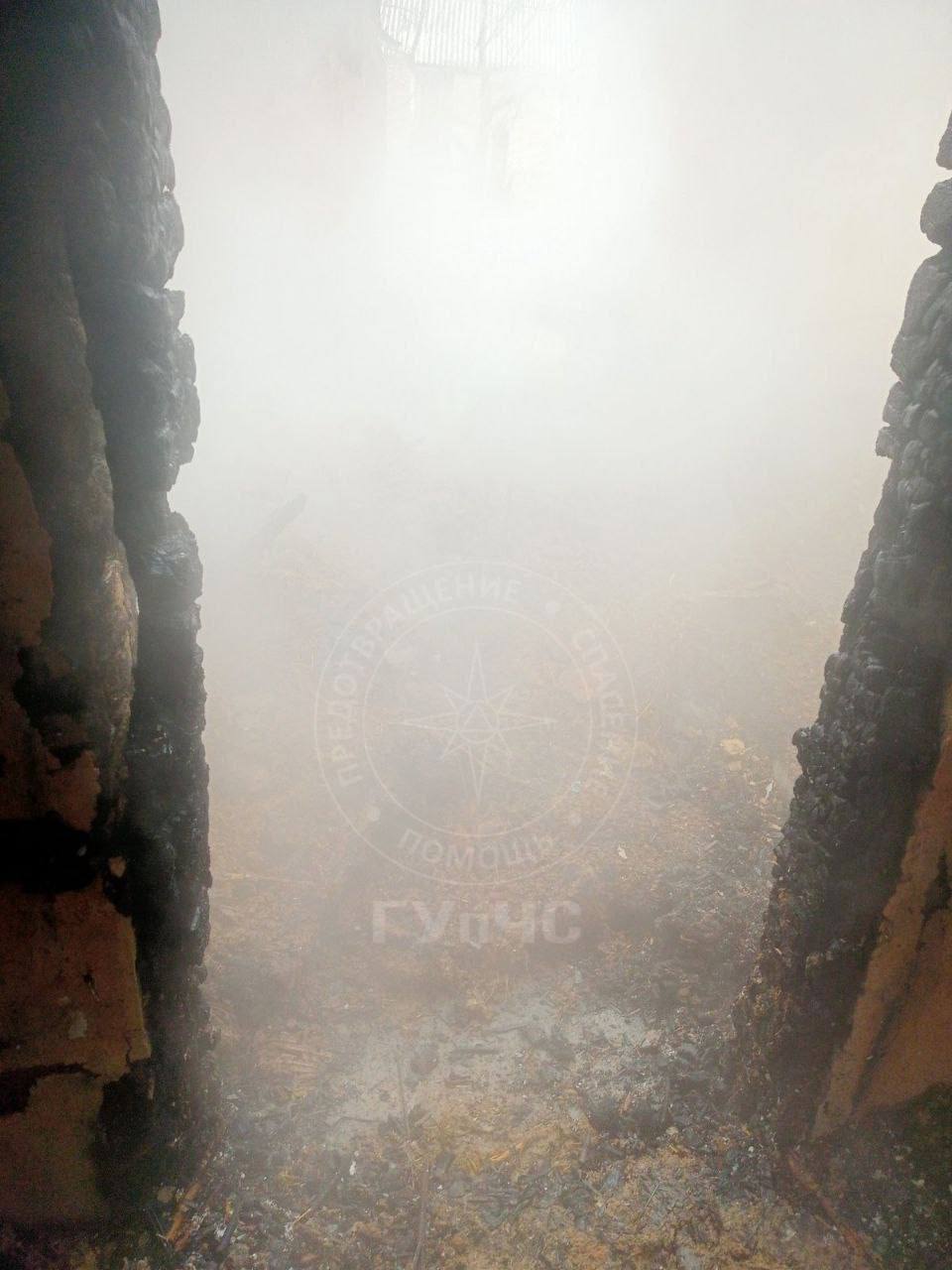 IMAGE 2026-01-11 12:31:55