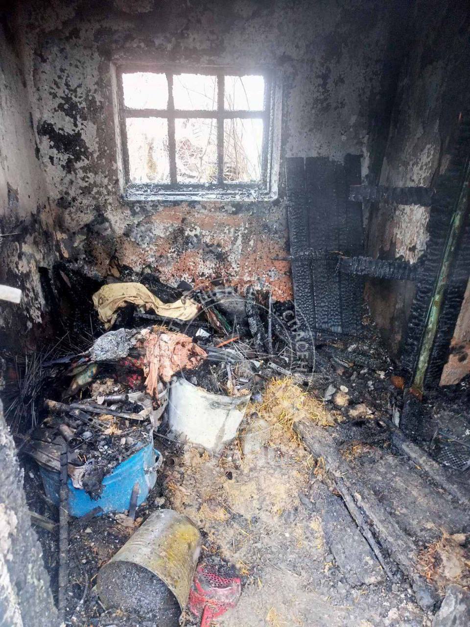 IMAGE 2026-01-11 12:37:46