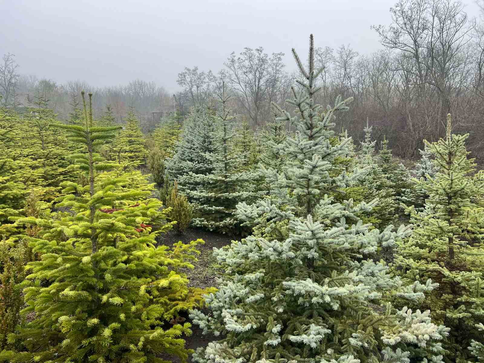 592912675_122315293298002057_8798860673926486393_n