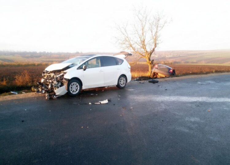 5269345777916514396-750x536